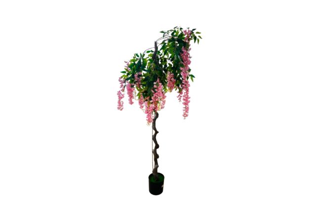POTTED PLANT